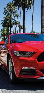 Red sports car under palm trees on a sunny street.