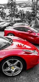 Vibrant red sports cars parked in an urban landscape, exuding luxury and power.