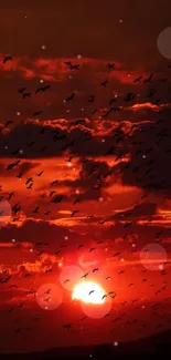 Vibrant red sunset with birds silhouetted against the glowing sky.