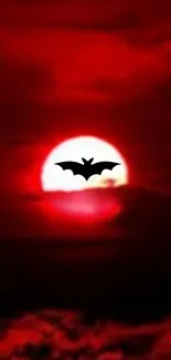 Silhouette of bat against a dramatic red sunset sky.