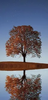 Lone tree at dusk reflected in a calm lake under a starry sky.