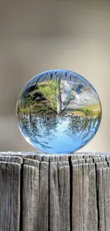 Reflective glass orb on textured wood with natural scene.