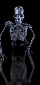 Reflective silver skeleton over a black background.