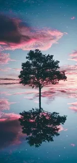 Single tree reflecting in sunset water.