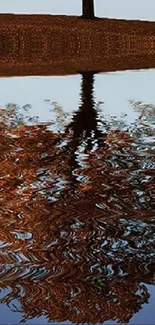 Reflective tree landscape with serene water view.