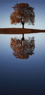 Serene night sky reflected on a lake with a lone tree.