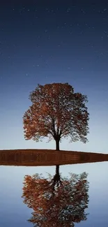 Tree reflected in water under a starry night sky.