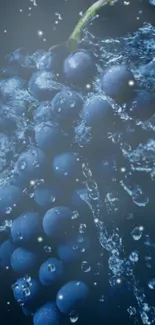 Blue grapes with water splash for mobile wallpaper.