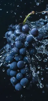 Blueberries in water splash mobile wallpaper with refreshing design.