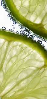 Close-up of lime slices with bubbles on a fresh green background.