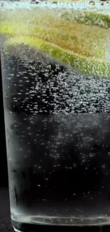 Tall glass with citrus slices and sparkling water.