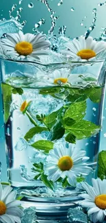 Refreshing daisies and mint in water glass.