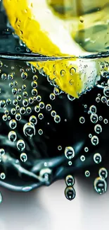 Close-up of a lemon slice in sparkling soda water with bubbles.