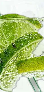 Close-up of lime slices with bubbles in water, vibrant and refreshing.