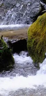 Beautiful nature wallpaper featuring a stream with mossy rocks.