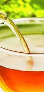 Tea being poured into a glass cup with green leaves backdrop.