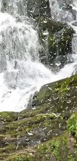 Waterfall mobile wallpaper with lush green moss and flowing water.