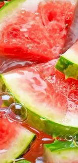 Close-up of vibrant watermelon slices in water.
