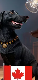 Black dog with gold necklace and Canadian flag.