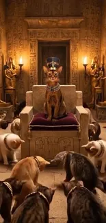 Cat sitting on a throne in an ancient Egyptian temple.