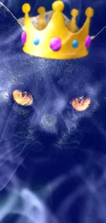 Black cat with a golden crown on dark blue background.