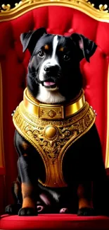 Regal black dog with gold accents on red throne.