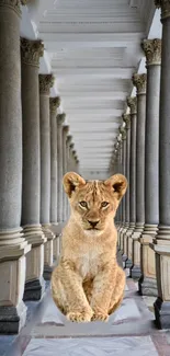 Lion cub sitting in a grand architectural corridor with tall columns.