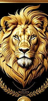 Majestic lion in a gold ornate frame, perfect for a luxurious wallpaper.