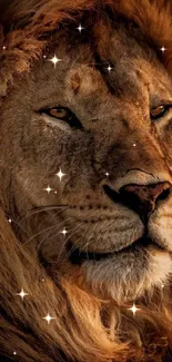 Majestic lion portrait wallpaper with a detailed mane for mobile devices.