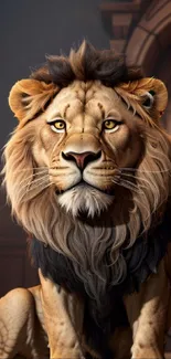 A majestic lion with a detailed mane sitting in warm, elegant lighting.