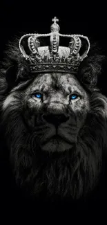 Majestic lion with a crown on a black background.