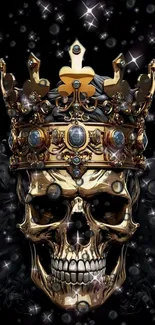 Gothic skull with gold crown on a dark background.