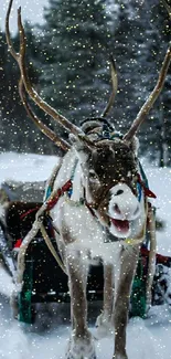 Majestic reindeer pulling sled in snowy, forested landscape.