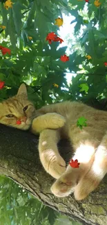 Ginger cat lounging on a tree branch amid lush green leaves.