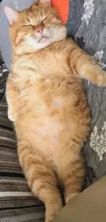 Orange cat sleeping on a cozy striped sofa with a relaxed pose.