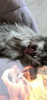 Yawning fluffy cat lying on a plush bed.