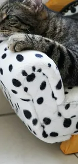 Cat lounging on polka-dotted chair, relaxed.