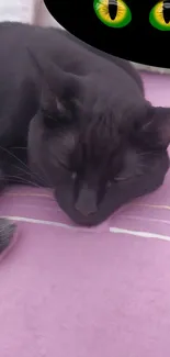 Black cat resting on a purple bed with vibrant green eyes.