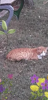 Orange cat resting in a colorful garden with flowers and greenery.