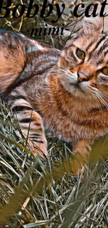 A relaxed cat lying in green grass with serene surroundings.