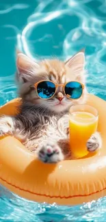 Kitten with sunglasses on pool float with drink