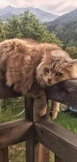 Fluffy cat resting on wooden railing with lush green background.