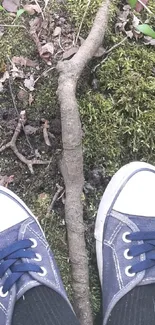 Feet in sneakers on a mossy forest path.