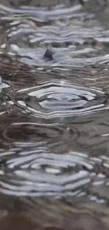 Raindrops causing ripples on water surface, creating a calming effect.