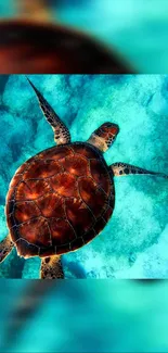 Reptile Blue Loggerhead Sea Turtle Live Wallpaper