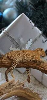 A leopard resting on a branch with silver gift boxes in the background.