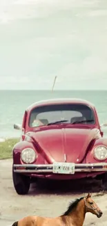 Classic red car by the ocean with a brown horse.