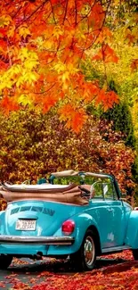 Blue vintage car amidst autumn leaves and vibrant trees.