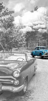 Vintage cars with nature background and dramatic sky.