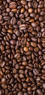 Close-up of roasted brown coffee beans forming a textured pattern.